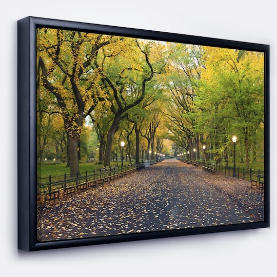 Designart - The Mall Area in Central Park - Large Landscape Framed Canvas Art